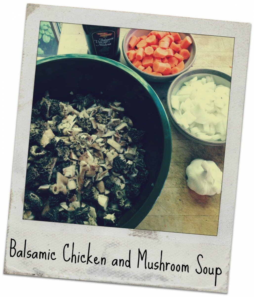 Polaroid style picture of Balsamic Chicken and Mushroom Soup